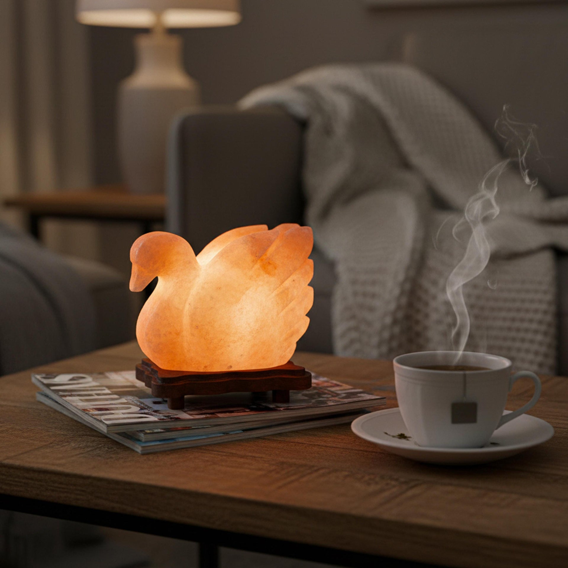 Duck Himalayan Salt Lamp