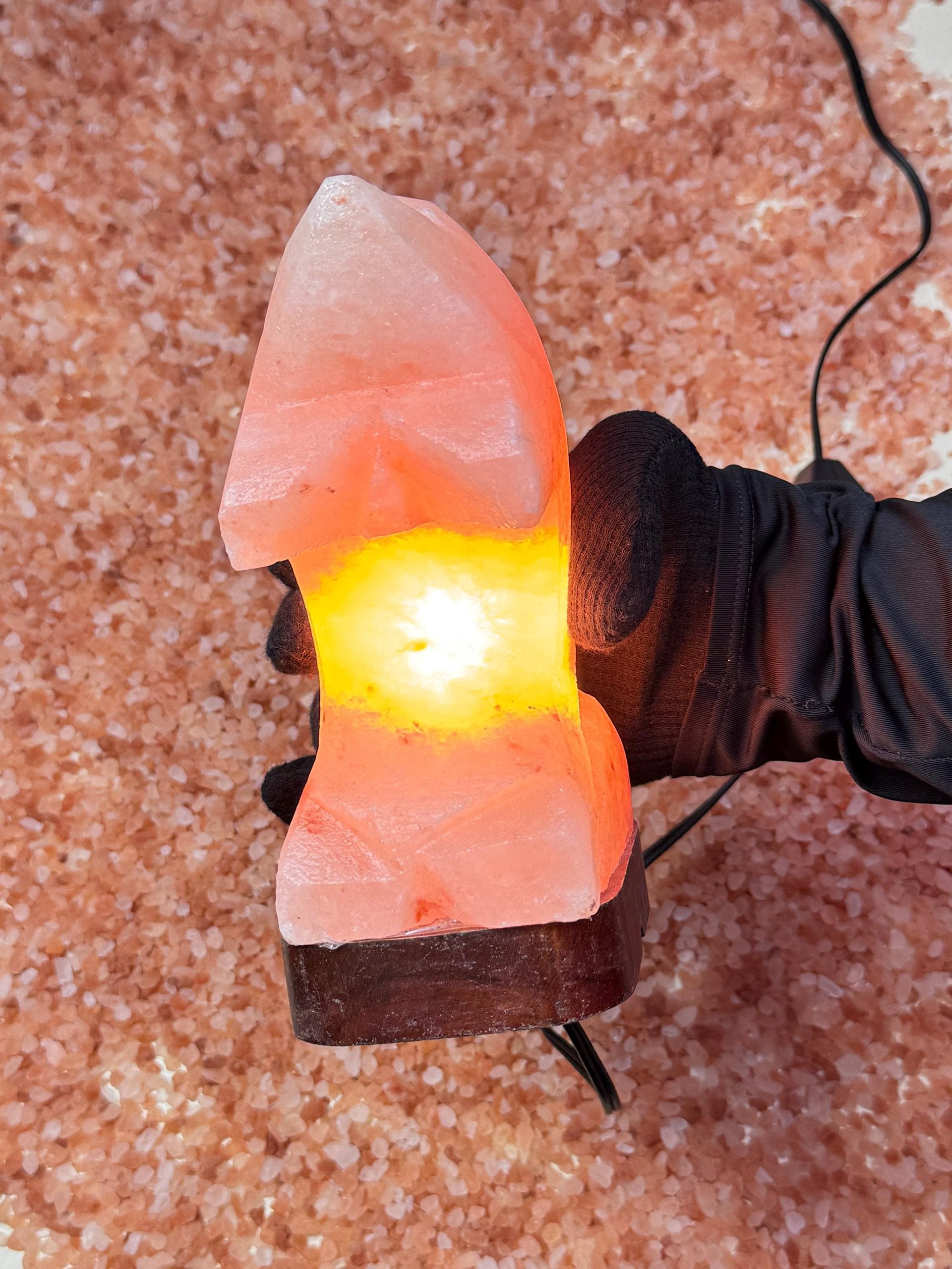 Dolphin Himalayan Salt Lamp