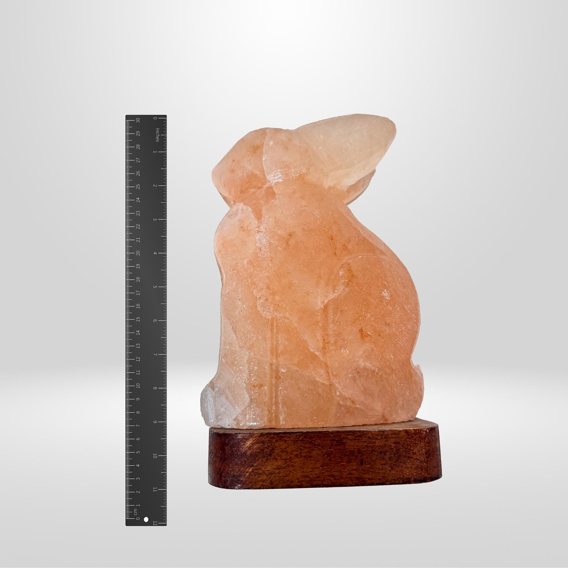 Rabbit Himalayan Pink Salt Lamp