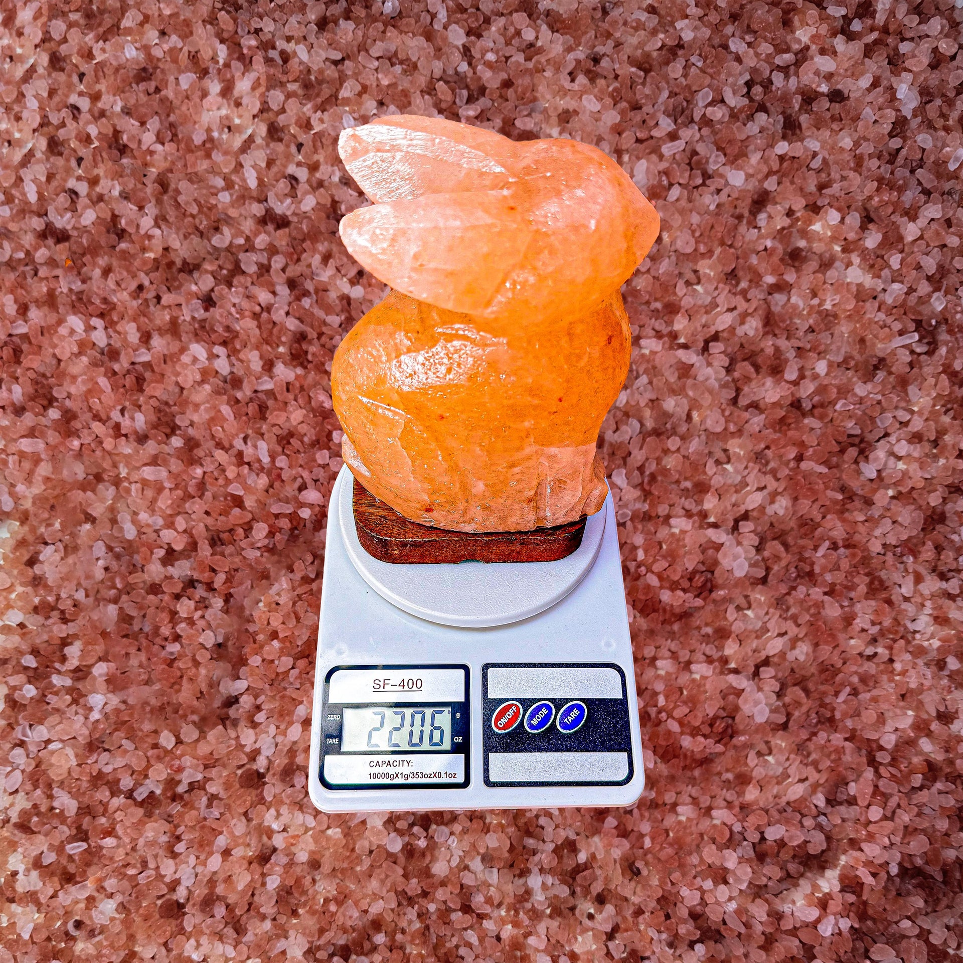 Rabbit Himalayan Pink Salt Lamp