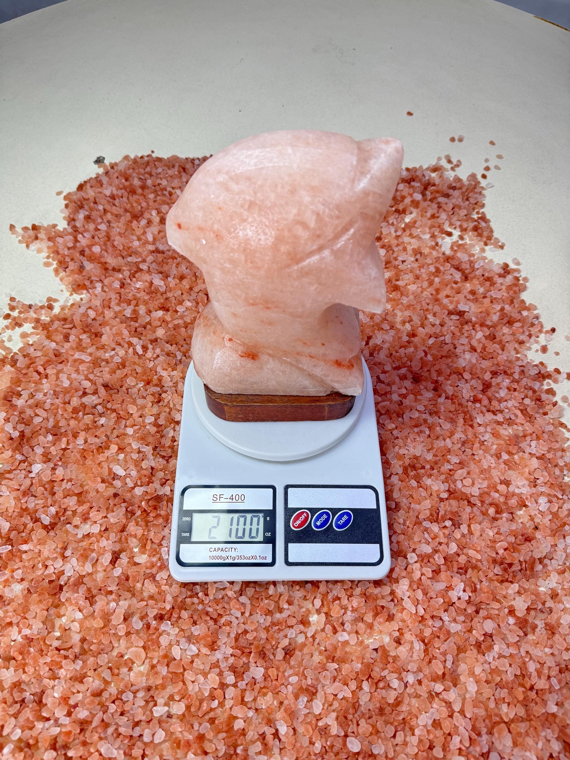 Dolphin Himalayan Salt Lamp
