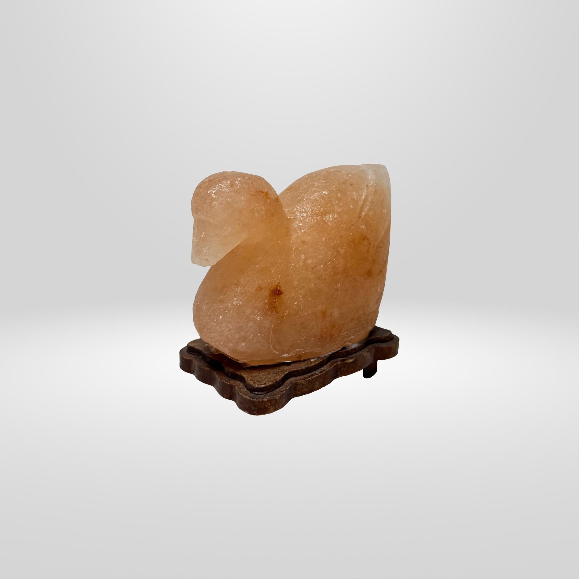 Duck Himalayan Salt Lamp