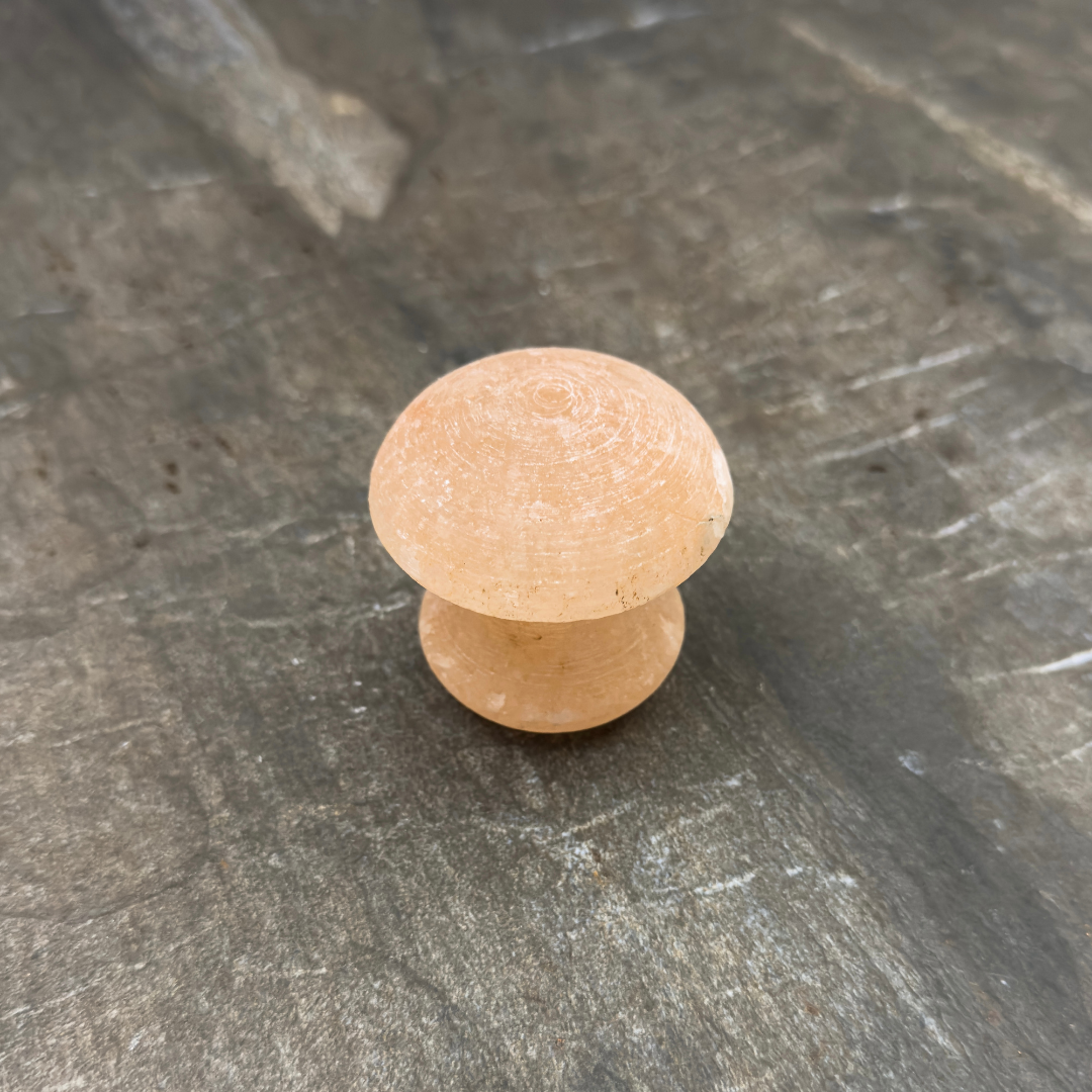 Himalayan Salt Massage Mushroom