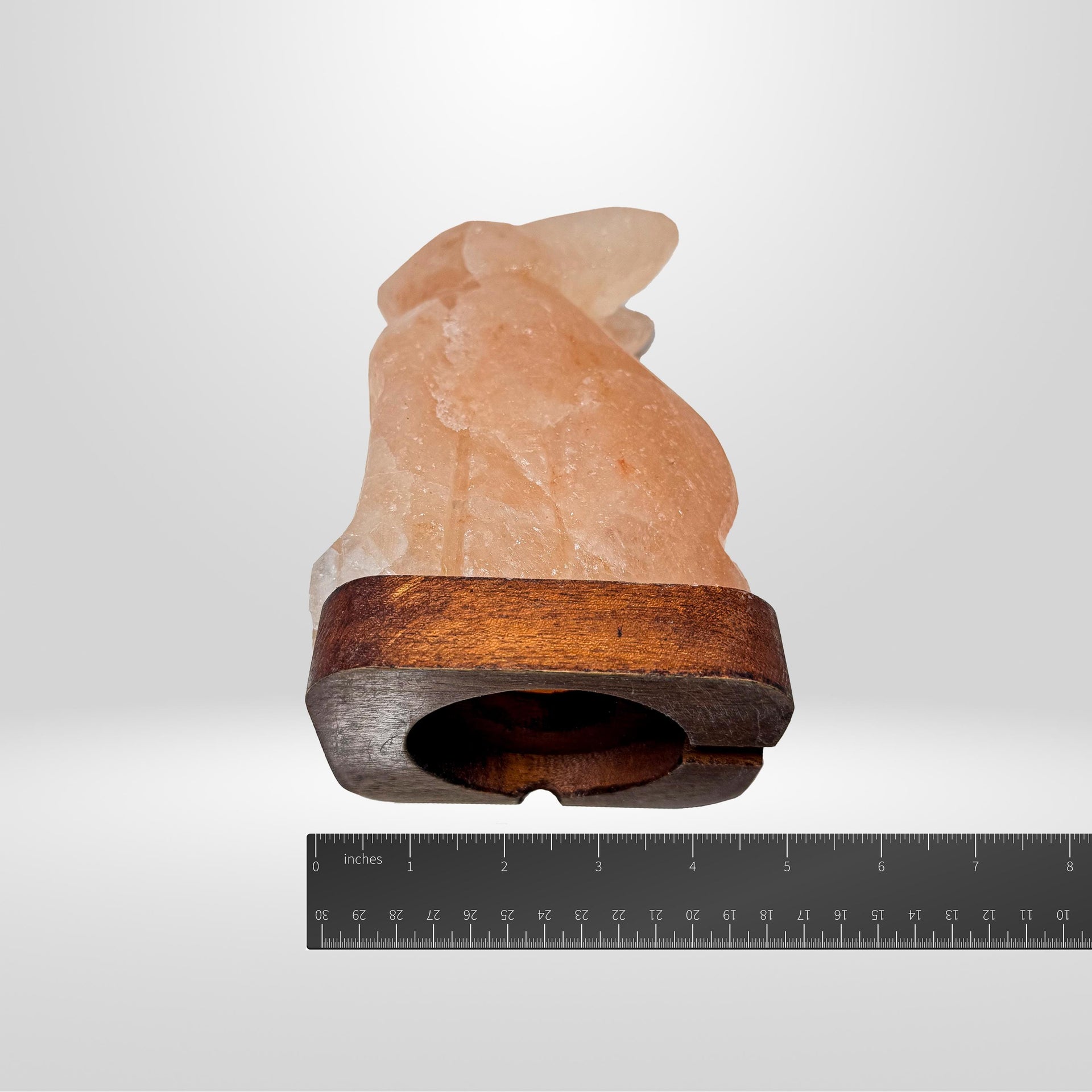 Rabbit Himalayan Pink Salt Lamp