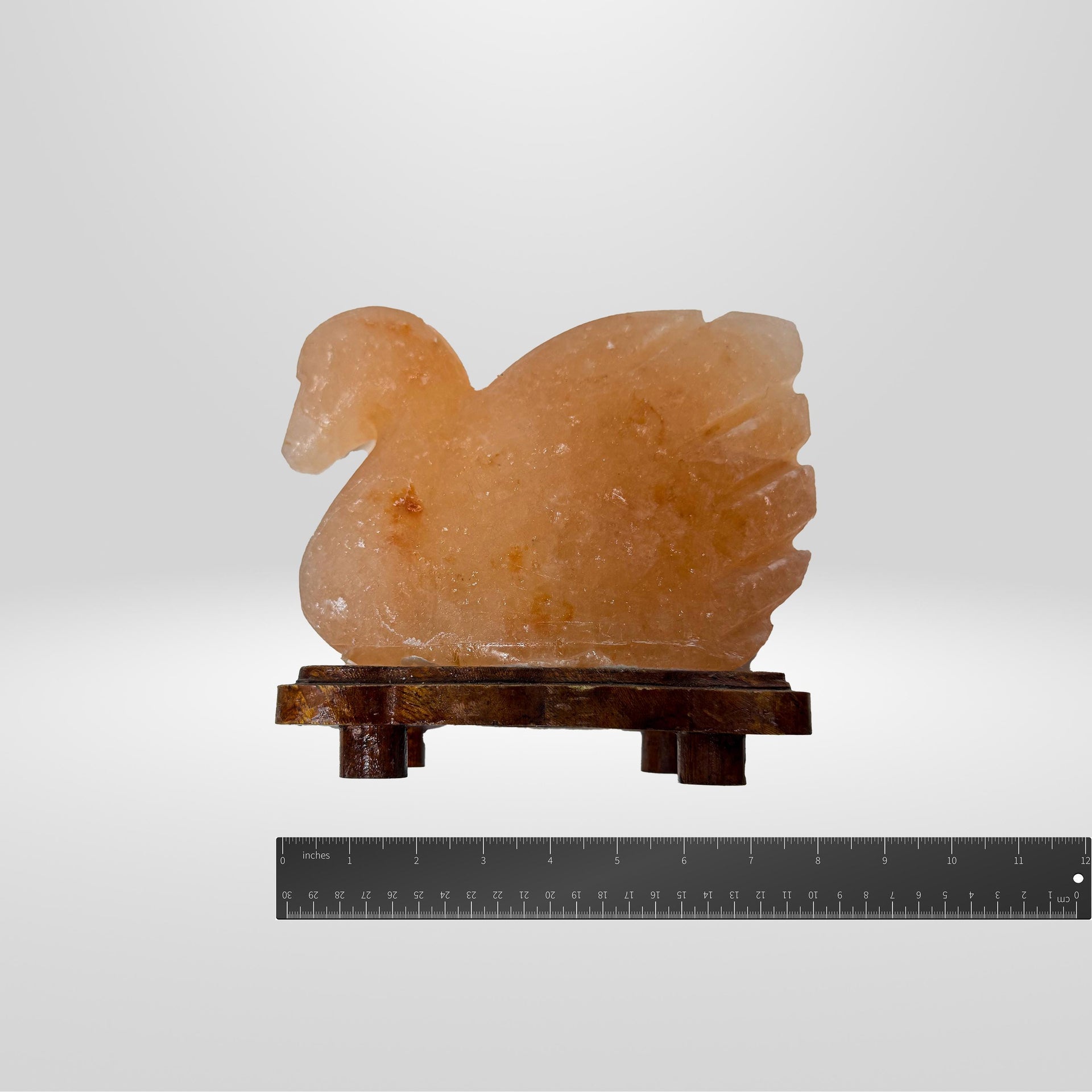 Duck Himalayan Salt Lamp