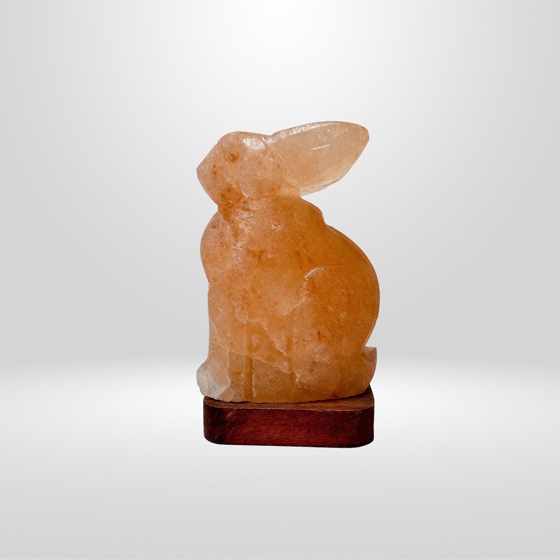Rabbit Himalayan Pink Salt Lamp