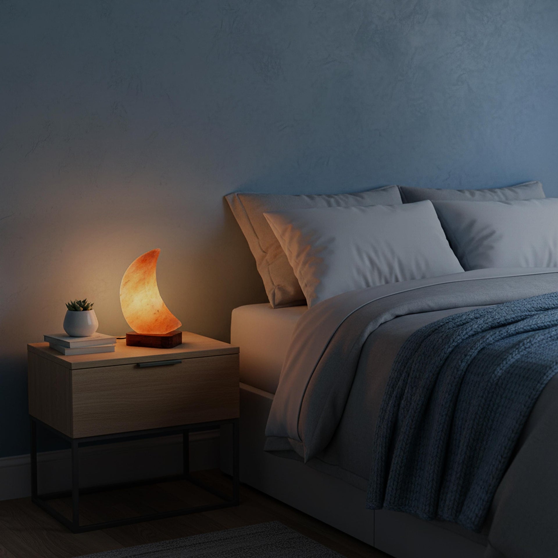 Moon Himalayan Pink Salt Lamp