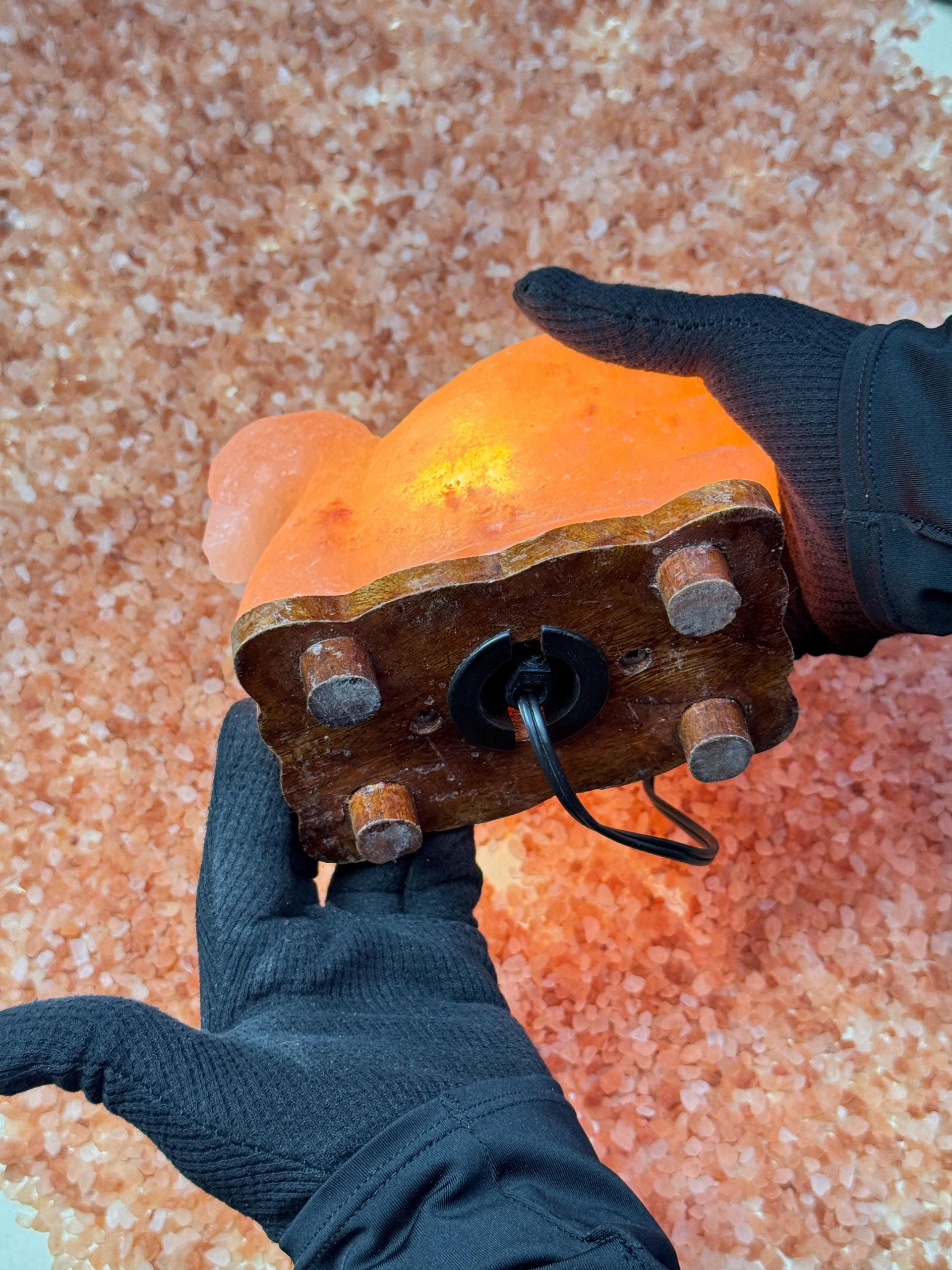 Duck Himalayan Salt Lamp