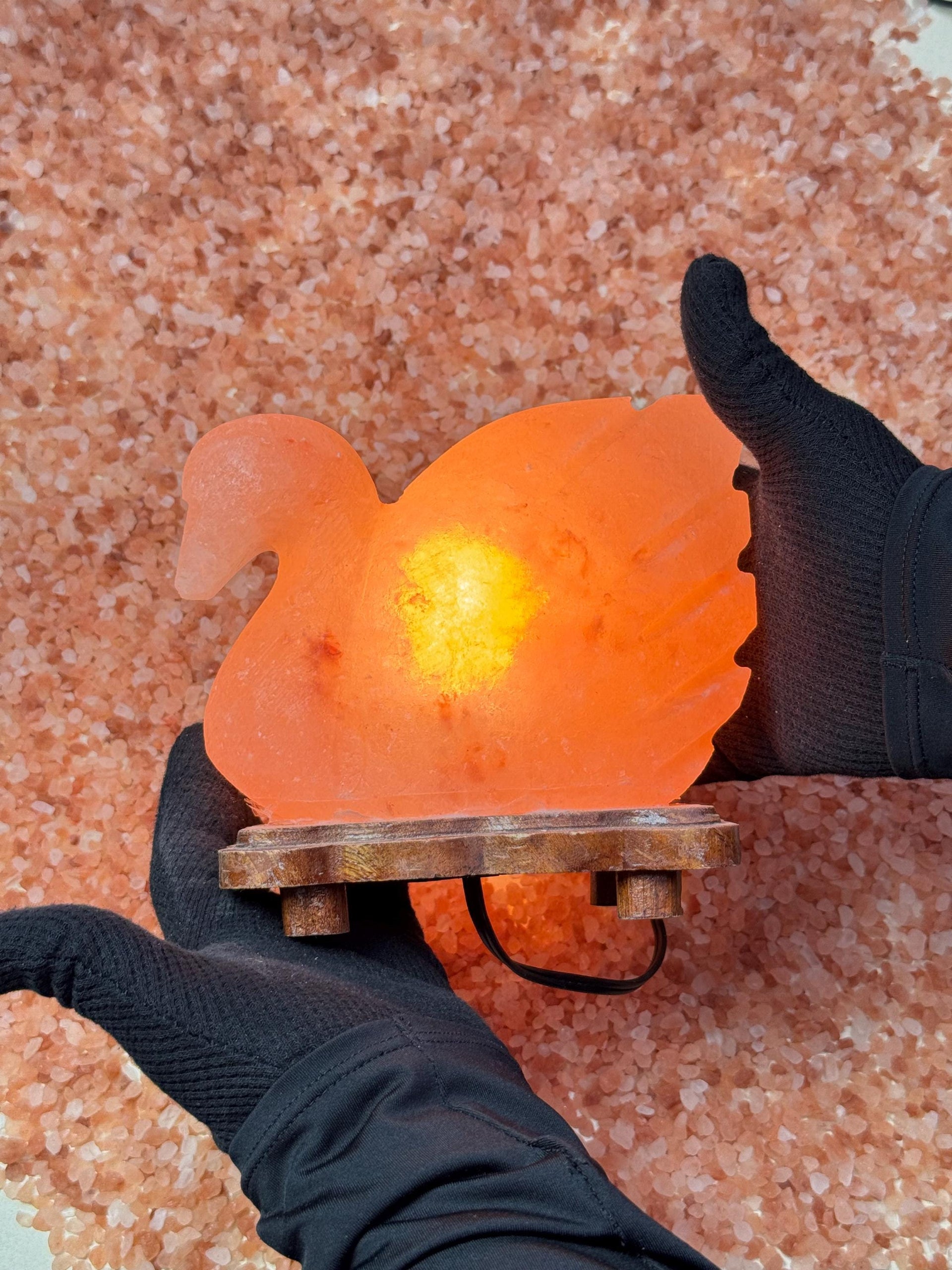 Duck Himalayan Salt Lamp