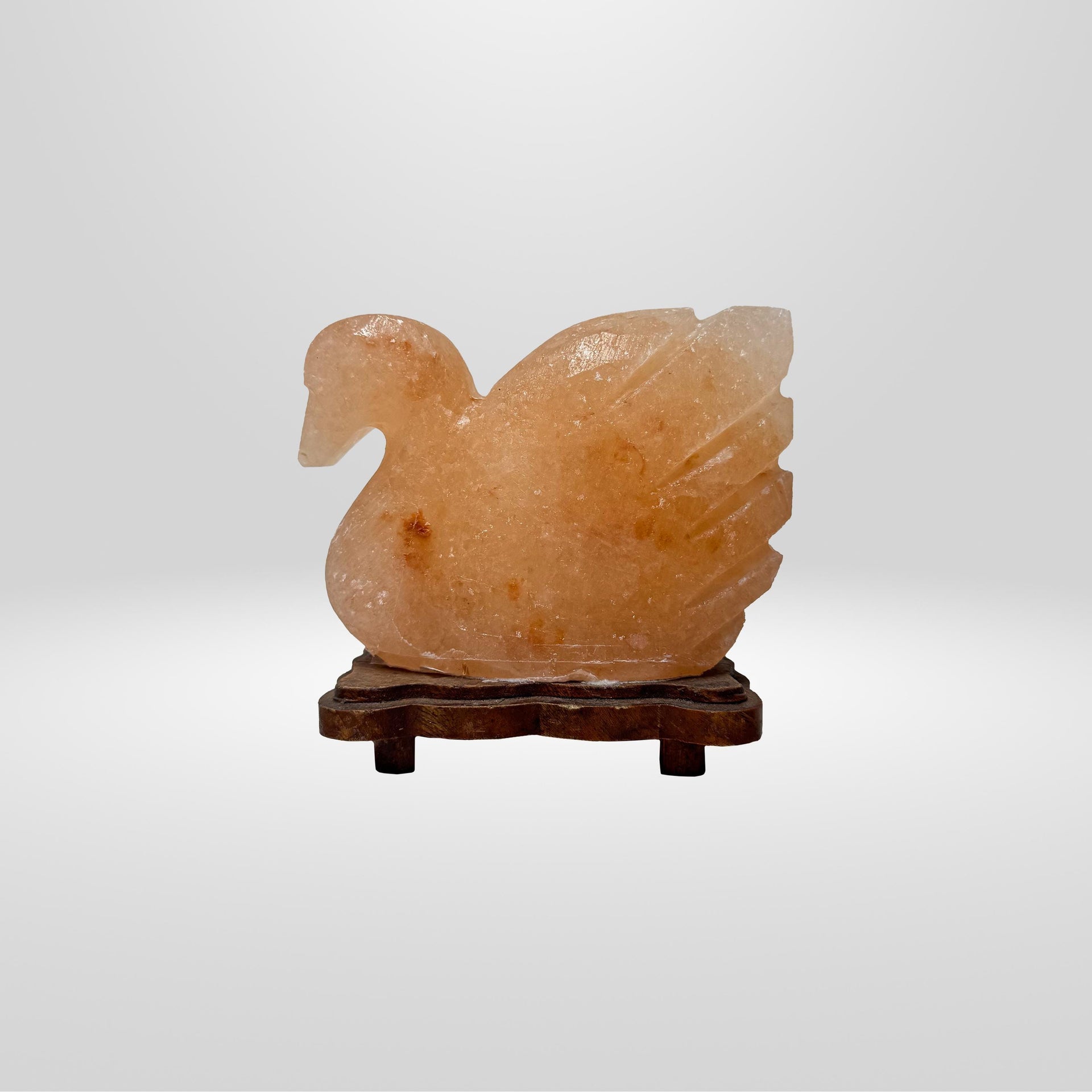 Duck Himalayan Salt Lamp