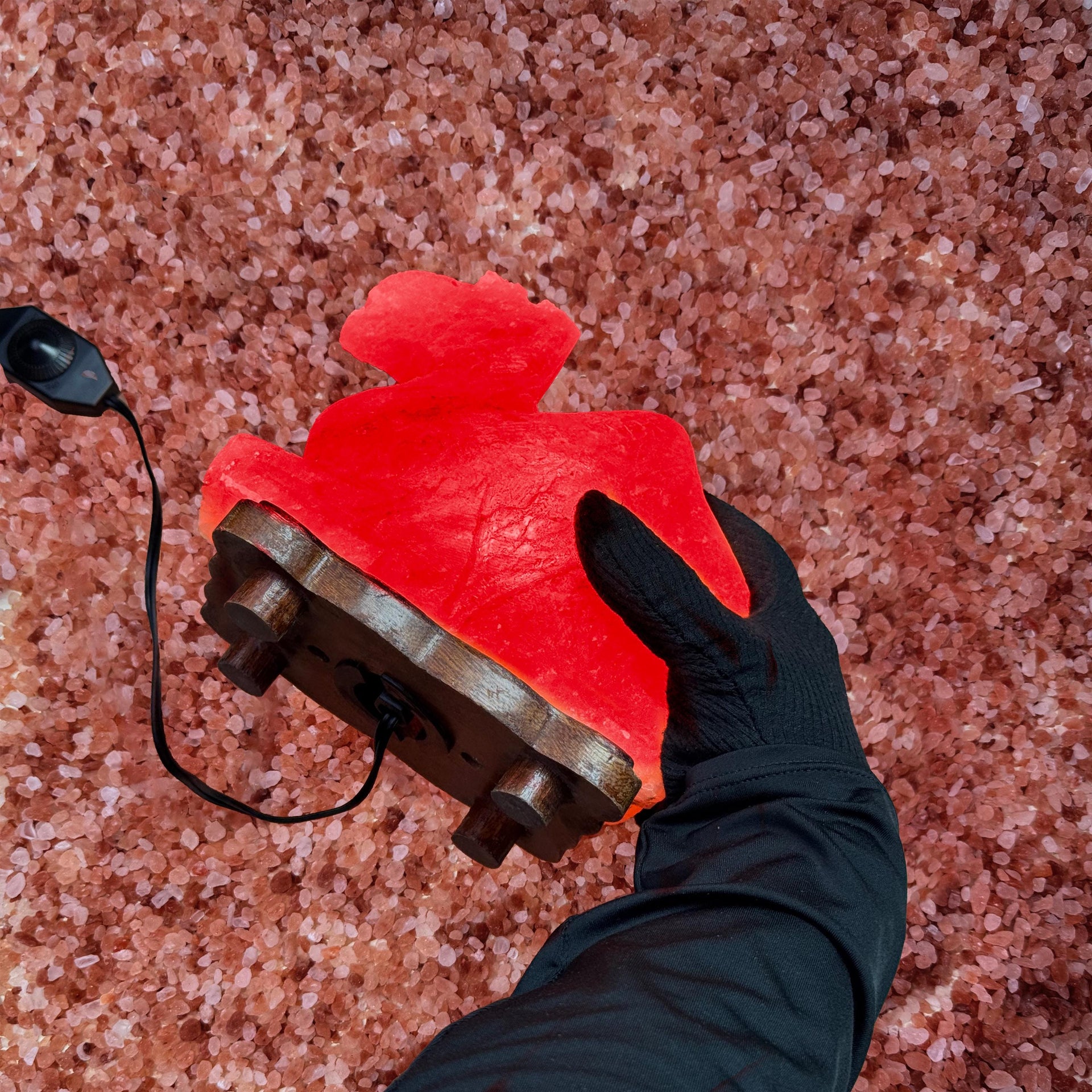 Camel Himalayan Salt Lamp: Handcrafted Pink Rock Salt Decor