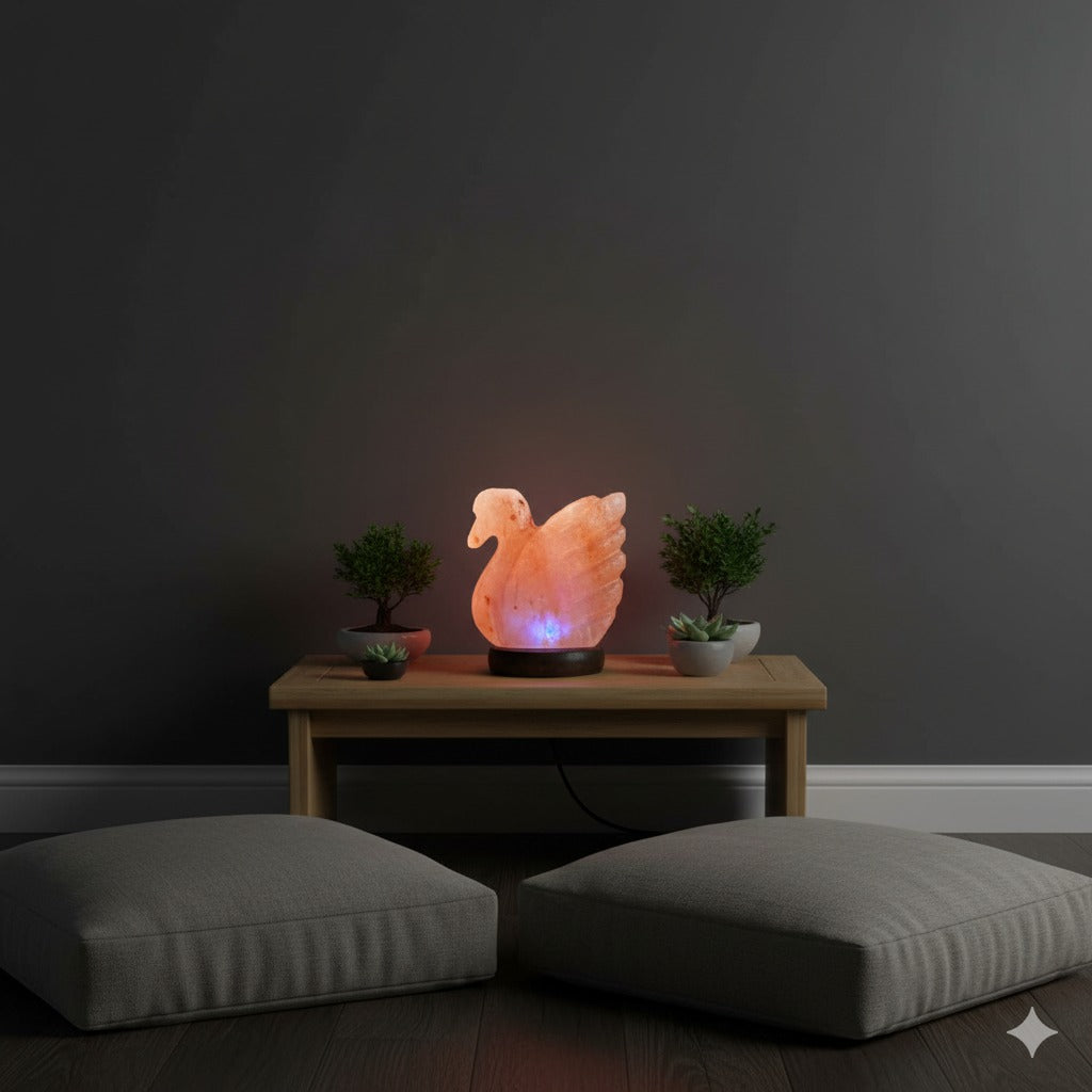Mini Duck Himalayan USB Salt Lamp