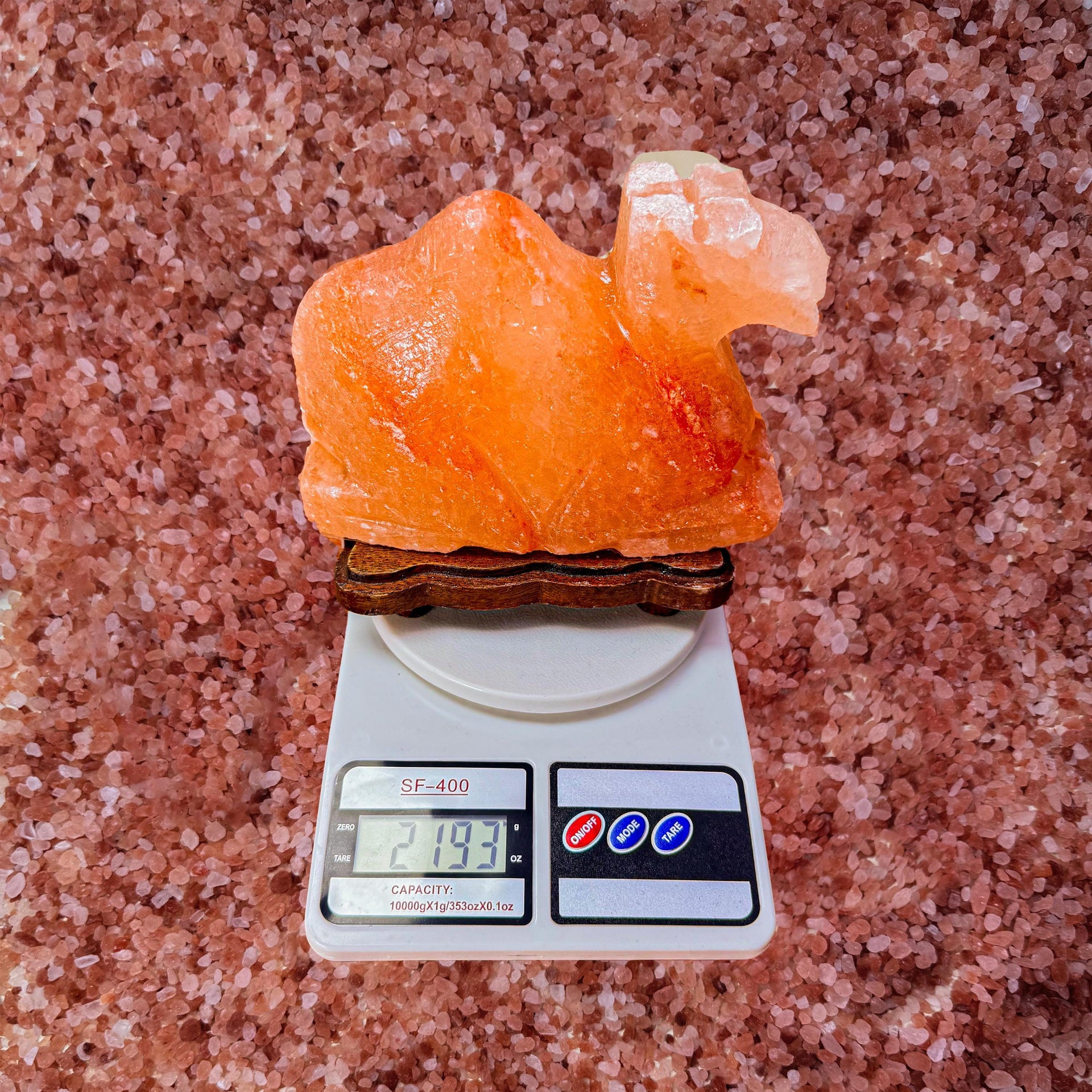 Camel Himalayan Salt Lamp: Handcrafted Pink Rock Salt Decor