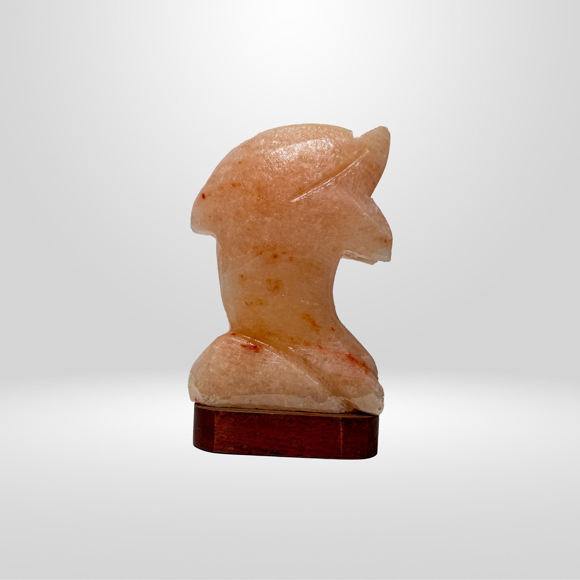 Dolphin Himalayan Salt Lamp