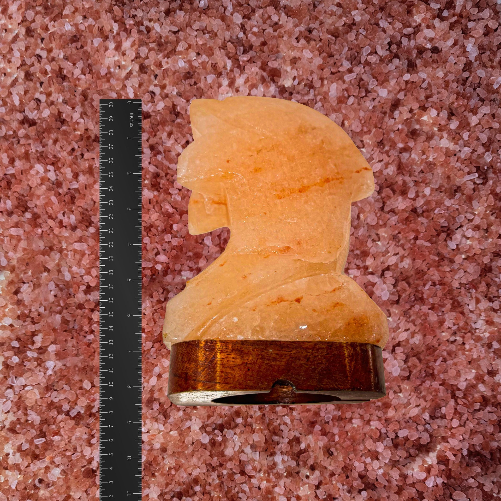 Dolphin Himalayan Salt Lamp