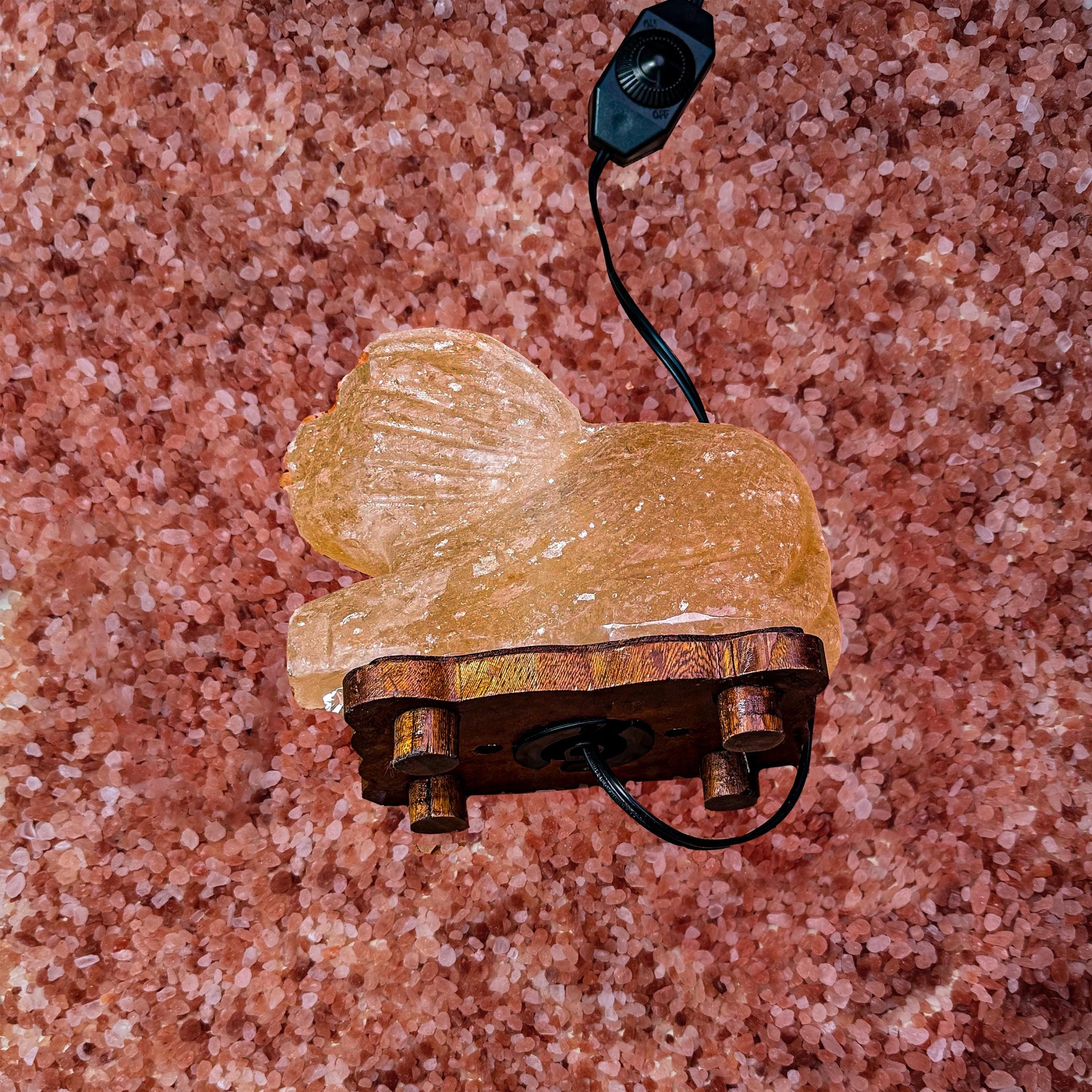 Lion Himalayan Pink Salt Lamp