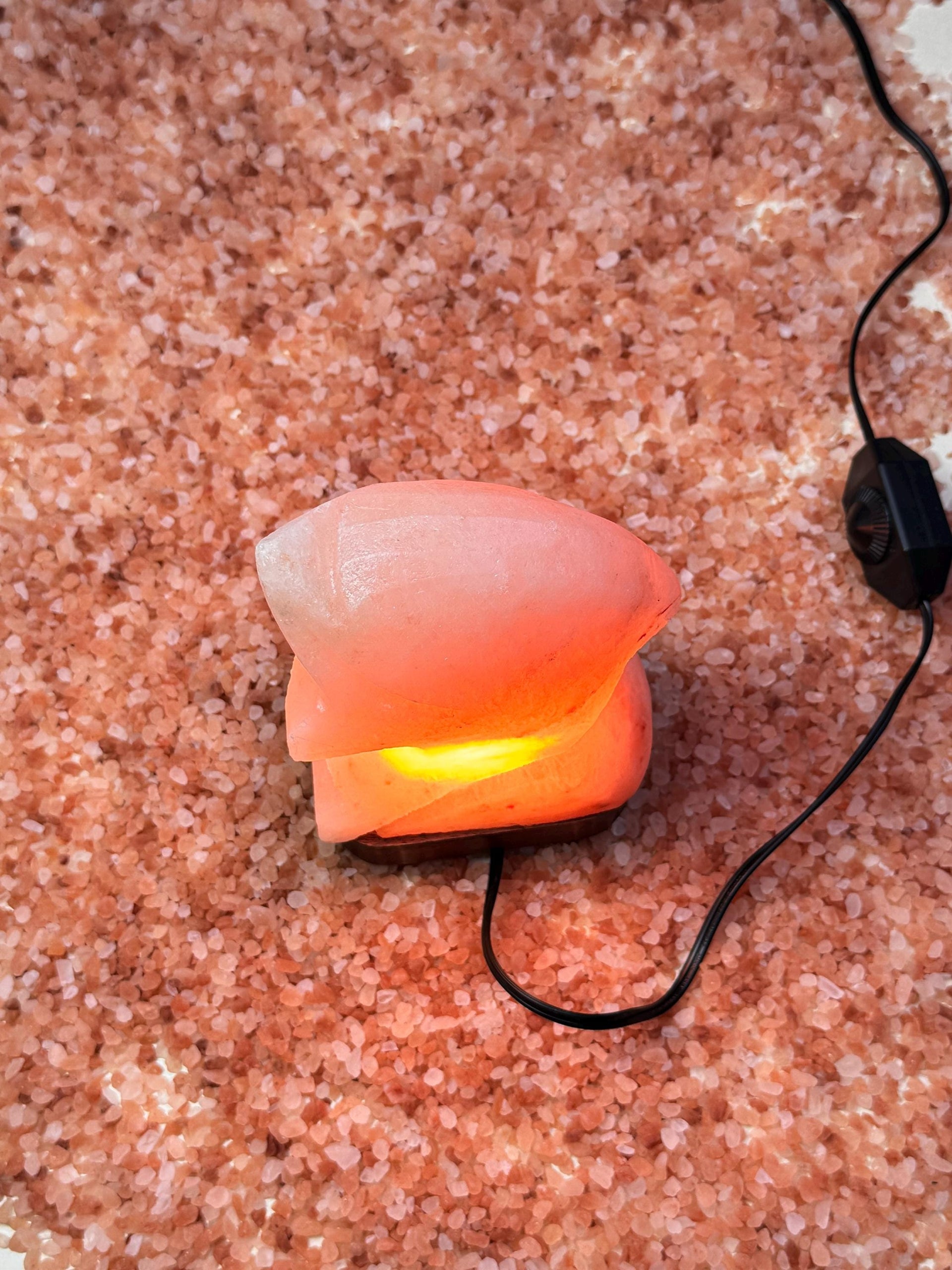 Dolphin Himalayan Salt Lamp
