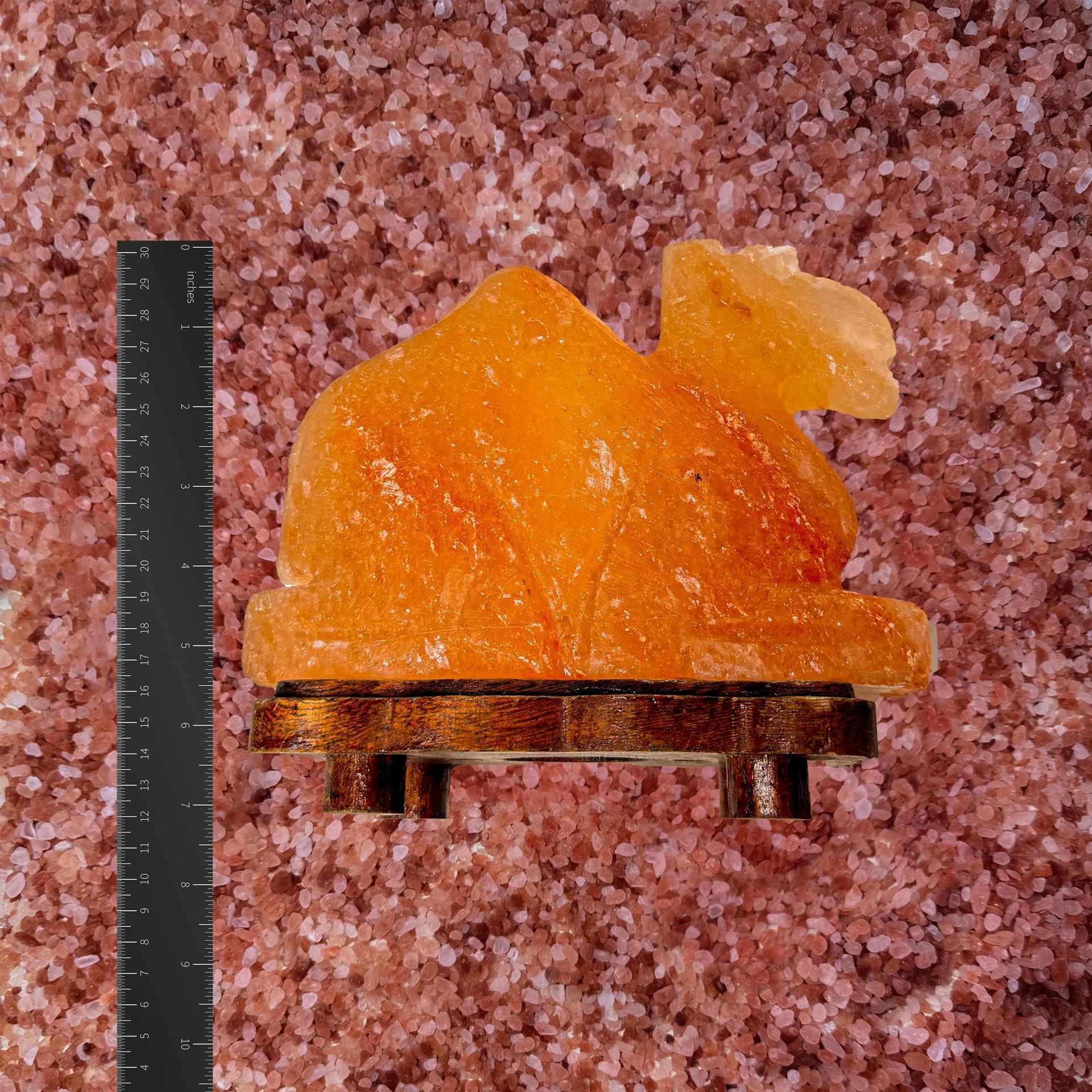 Camel Himalayan Salt Lamp: Handcrafted Pink Rock Salt Decor