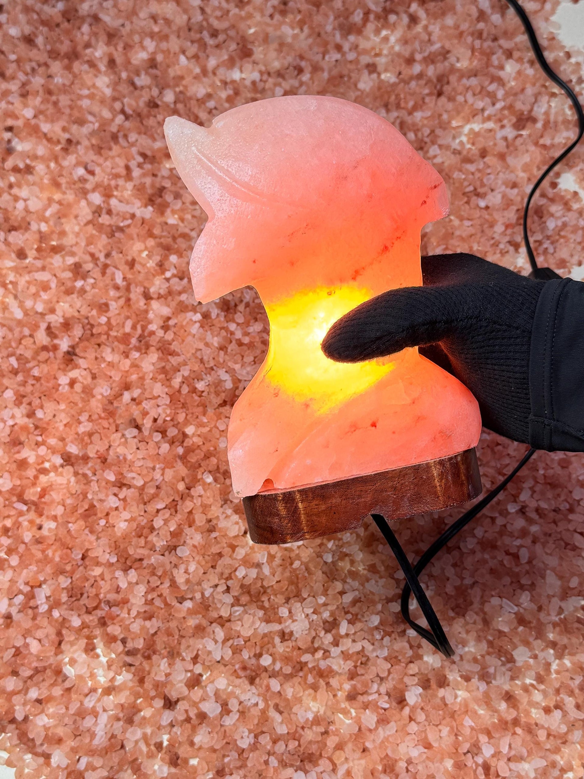 Dolphin Himalayan Salt Lamp