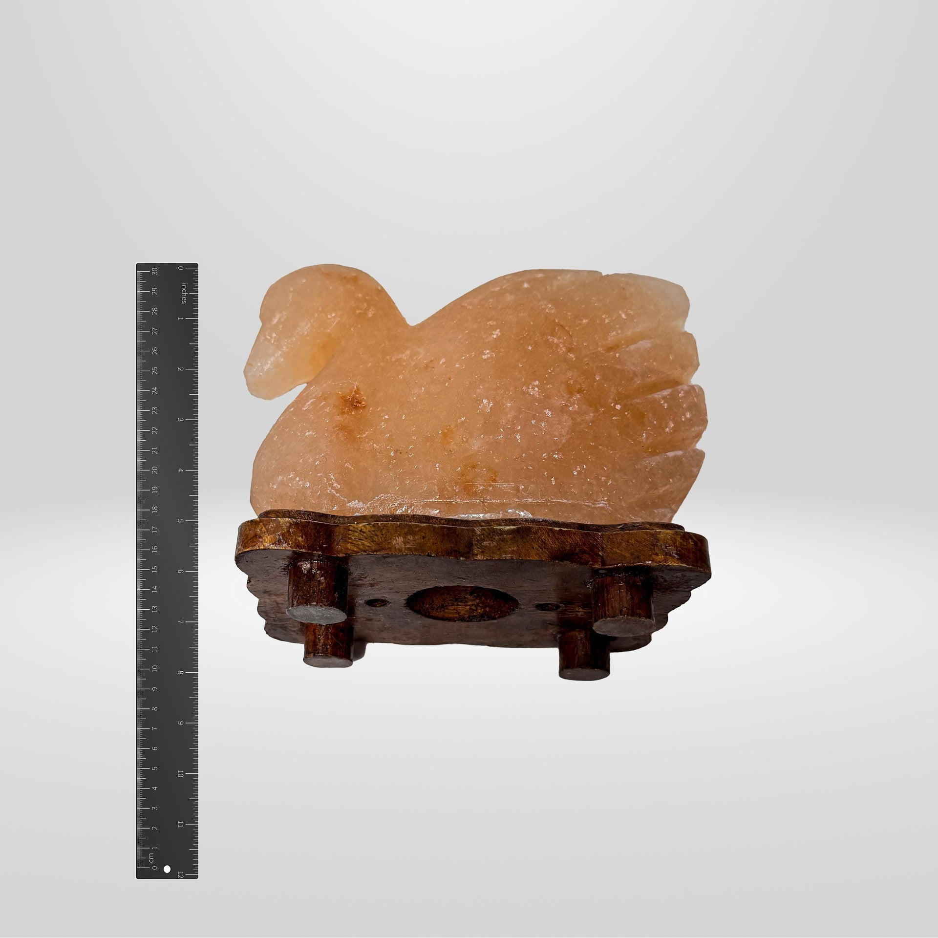 Duck Himalayan Salt Lamp