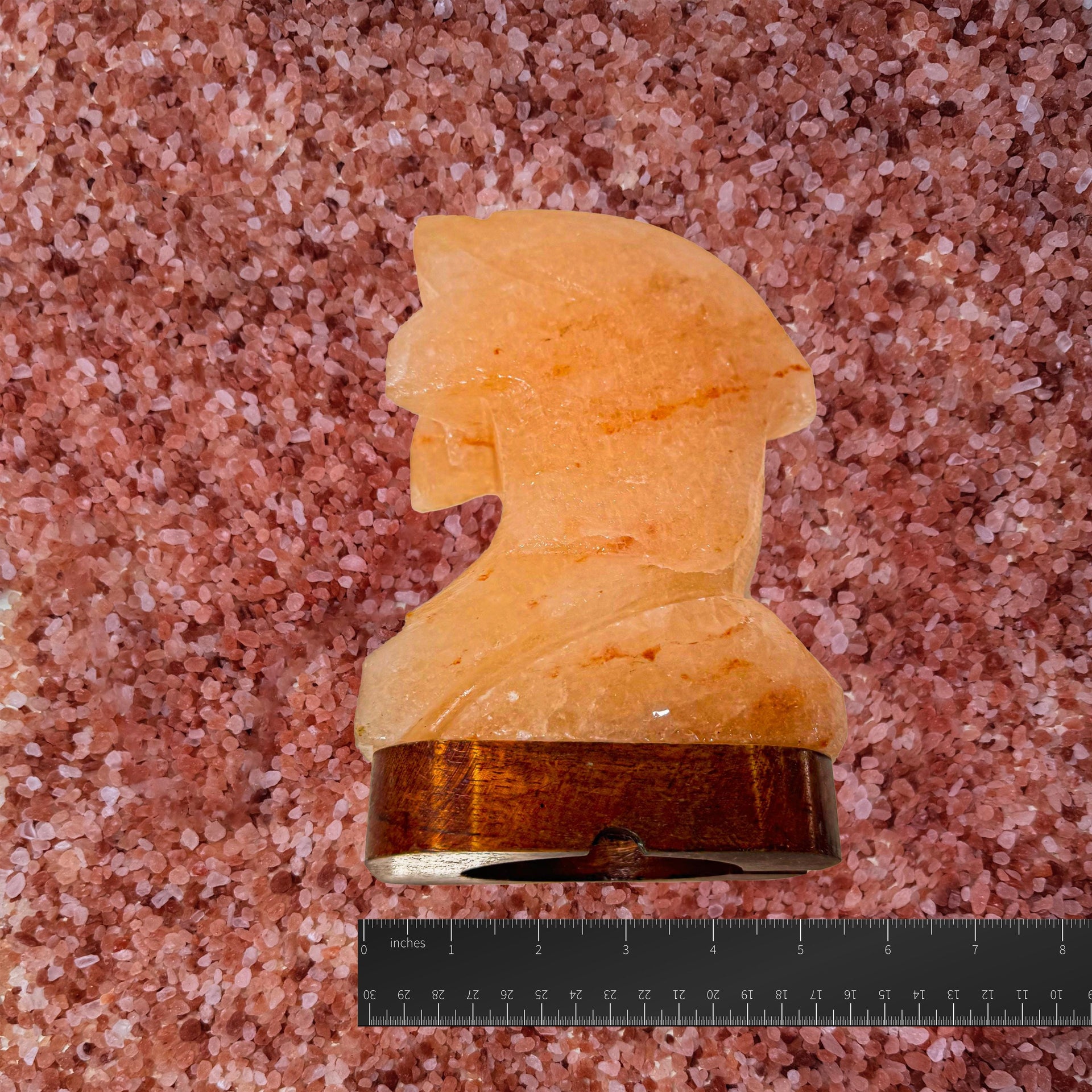 Dolphin Himalayan Salt Lamp