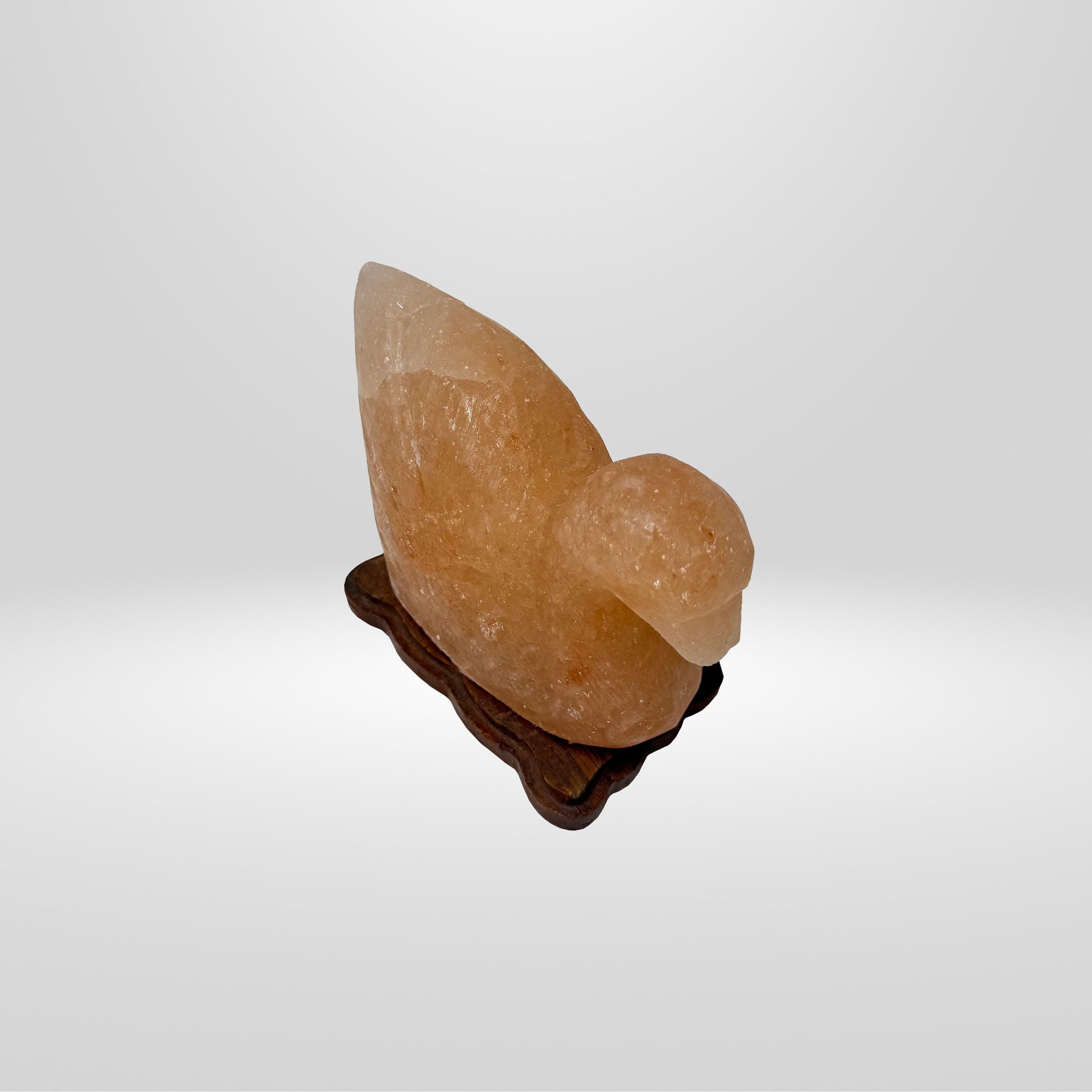 Duck Himalayan Salt Lamp